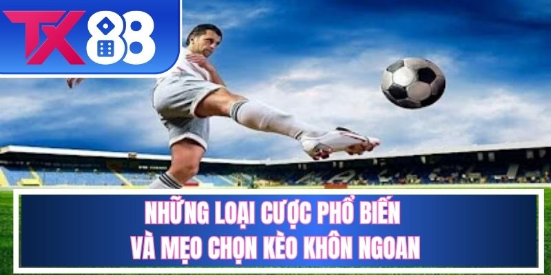 Điểm qua một vài loại cược phổ biến trong giới cá độ tx88