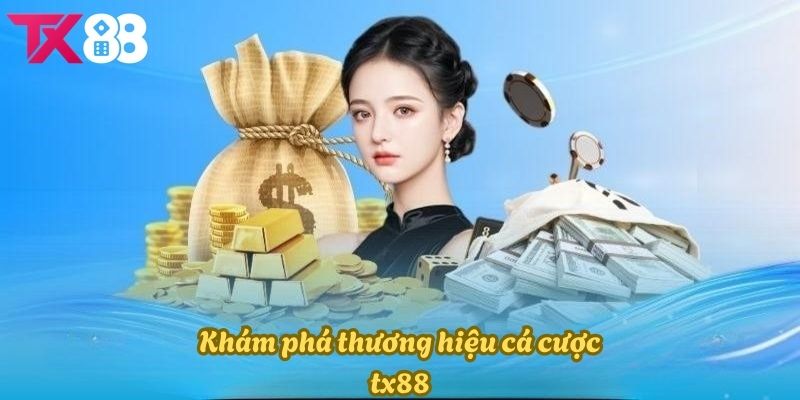 Khám phá đôi nét xoay quanh về nhà cái TX88