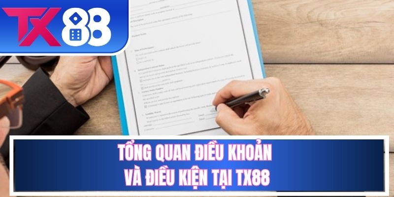 Giới thiệu về điều khoản và điều kiện TX88