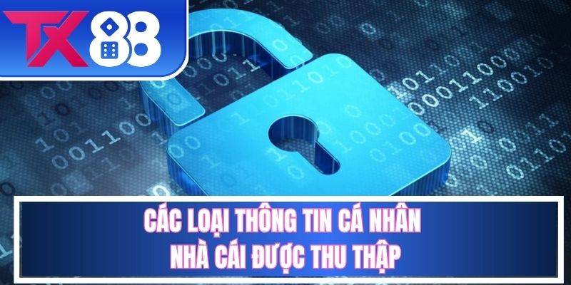 Một số thông tin nhà cái có thể sử dụng trên mặt pháp lý
