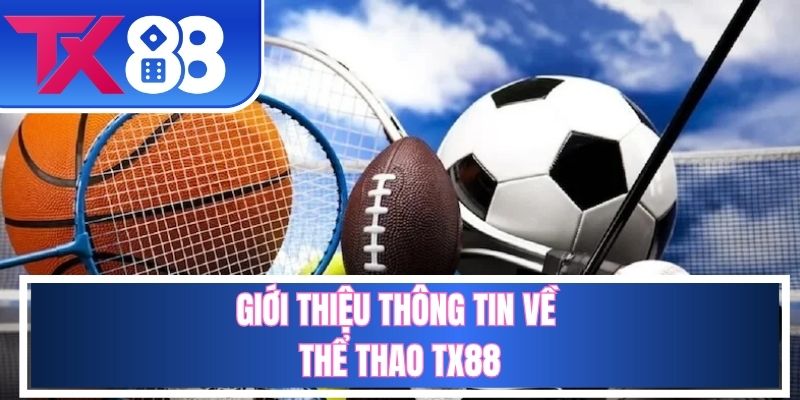 Một vài thông tin cơ bản về sảnh thể thao TX88
