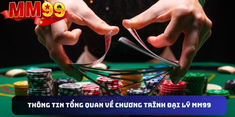 Một số thông tin cơ bản về chương trình đại lý MM99 bạn cần nắm rõ